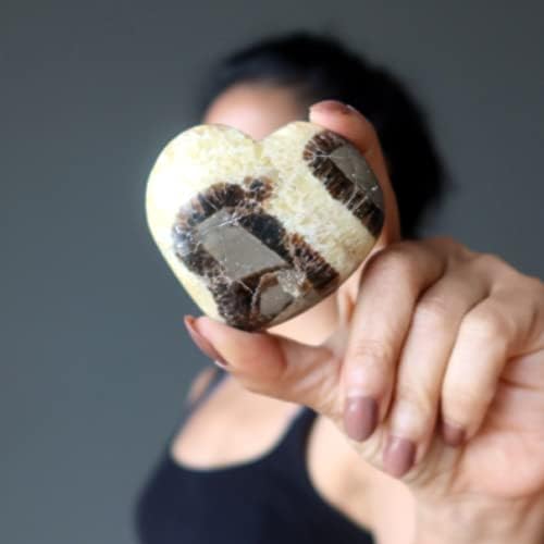 Satin Crystals Septarian Heart Stone 275-3 Inches