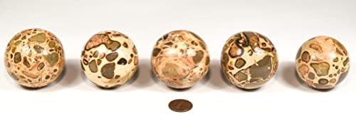 HQRP 47mm Leopardite Jasper Sphere with Stand