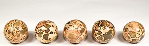 HQRP 47mm Leopardite Jasper Sphere with Stand
