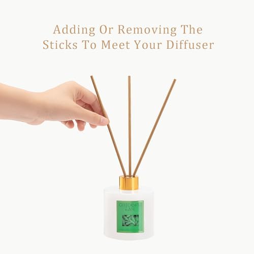 Chloefu LAN Eucalyptus Essential Oil Diffuser Set