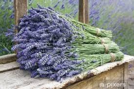 Lavender Flower Dried Turkish Natural Herbs 044 lb