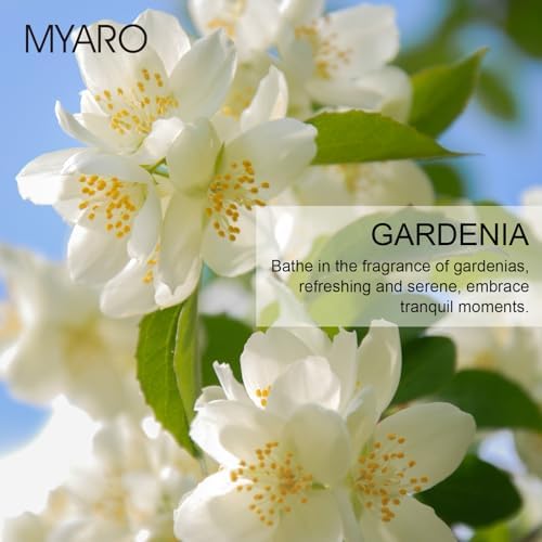 MYARO 12 Pack Gardenia Scented Sachets Air Freshener