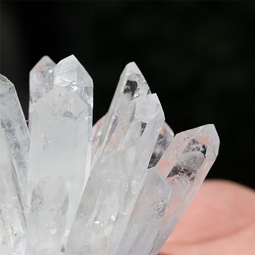 Unique Natural Clear Quartz Crystal Cluster Home Decor