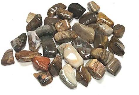 Zentron Crystal Collection Tumbled Petrified Wood Stones in Velvet Bag 1 Pound