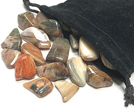 Zentron Crystal Collection Tumbled Petrified Wood Stones in Velvet Bag 1 Pound