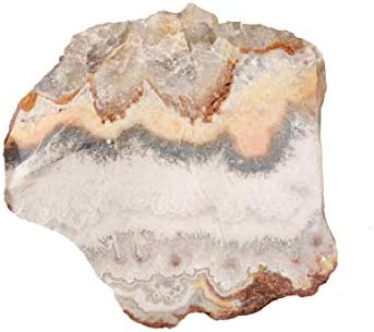 Crazy Lace Agate 3 Inch Natural Mineral Specimen