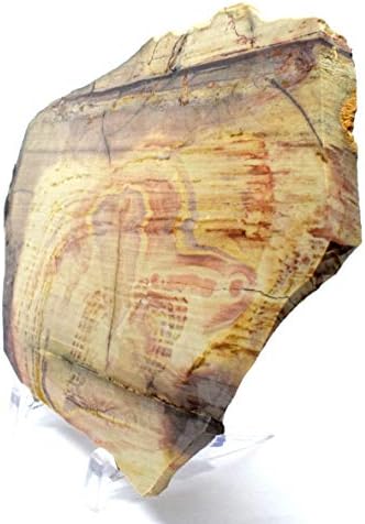 61 Polished Polychrome Royal Jasper Slab Decor