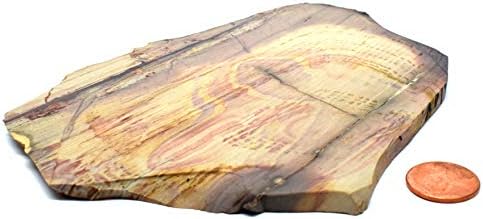 61 Polished Polychrome Royal Jasper Slab Decor