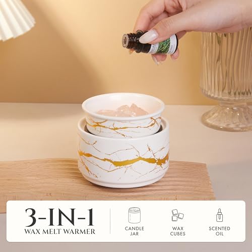 PALANCHY 3-in-1 Wax Melter Electric Candle Warmer