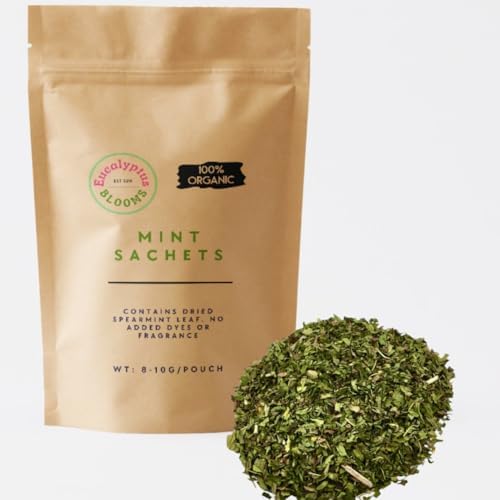 12 Mint Sachets with USA Fresh Scent