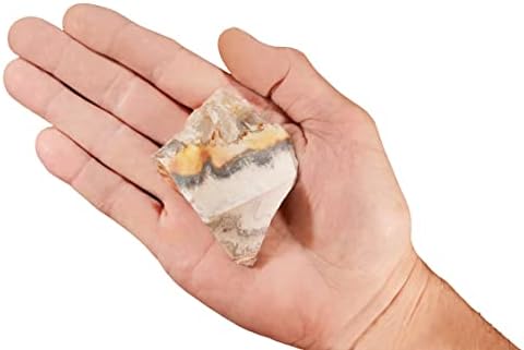 Crazy Lace Agate 3 Inch Natural Mineral Specimen