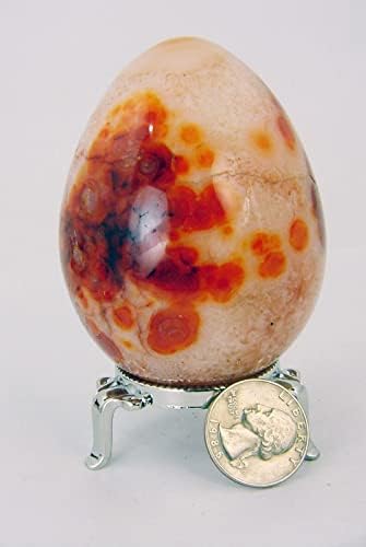 Carnelian Agate Egg Healing Gemstone with Stand