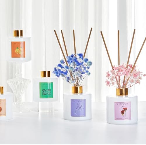 Chloefu LAN Eucalyptus Essential Oil Diffuser Set