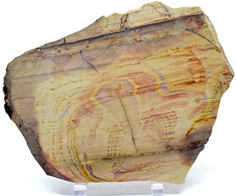 61 Polished Polychrome Royal Jasper Slab Decor