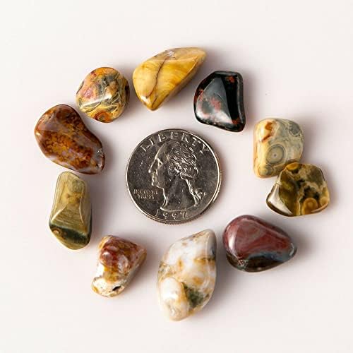 12 lb Tumbled Ocean Jasper Gemstones 80-100 Pieces