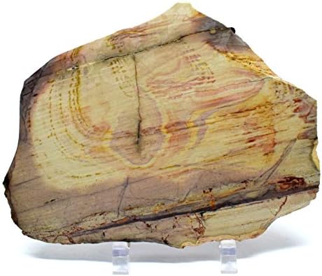 61 Polished Polychrome Royal Jasper Slab Decor