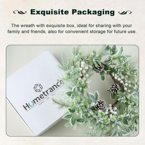 Winter Christmas Wreath for Front Door 20 Inches
