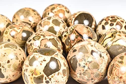 HQRP 47mm Leopardite Jasper Sphere with Stand
