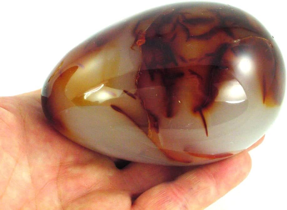 Carnelian Agate Egg 95mm x 63mm with Stand
