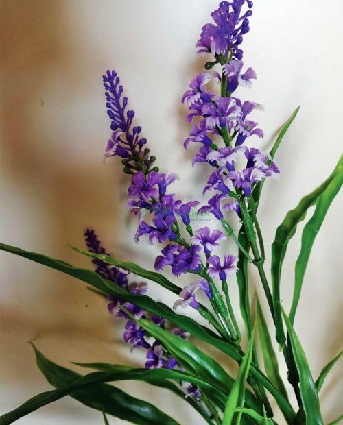 Lavender Flower Dried Turkish Natural Herbs 044 lb