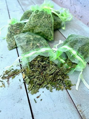 12 Mint Sachets with USA Fresh Scent