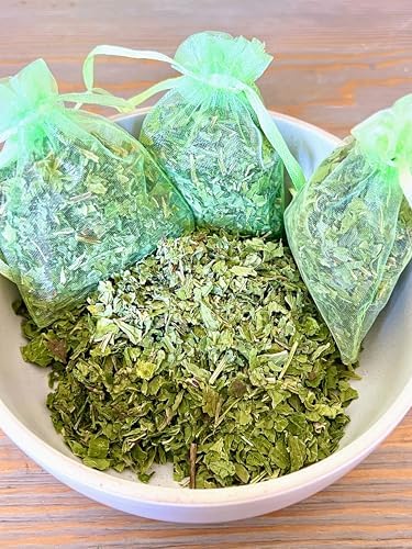 12 Mint Sachets with USA Fresh Scent