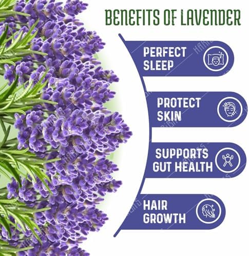 Organic Dried Lavender Flowers 20gm for Tea and Bath