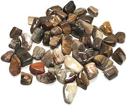 Zentron Crystal Collection Tumbled Petrified Wood Stones in Velvet Bag 1 Pound