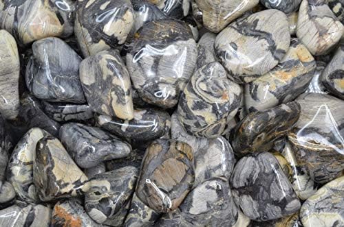 Fantasia Silver Leaf Jasper Stones - 5 lbs Tumbled Stones from Africa