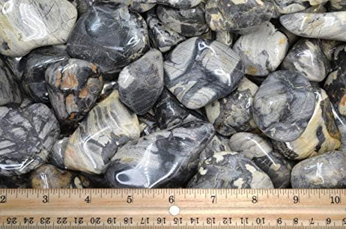 Fantasia Silver Leaf Jasper Stones - 5 lbs Tumbled Stones from Africa