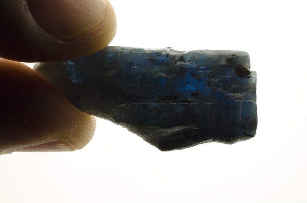 Fantasia 1 lb Lot of Translucent Blue Sapphire and Kyanite Rough Stones
