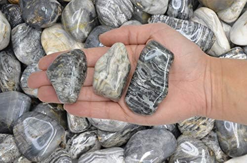 Fantasia 3 lbs Tumbled Black Cream Chert Stones for Fountains