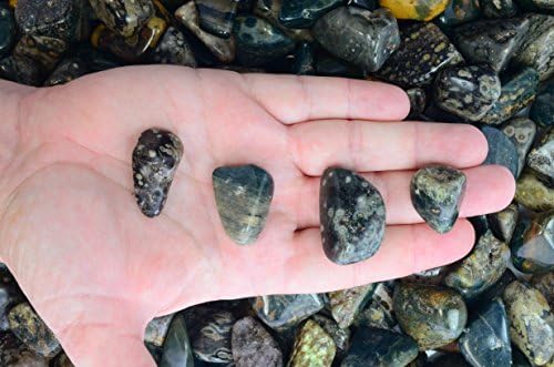 Fantasia Tumbled Sea Jasper Stones 5 lbs Small 075-125 Inch