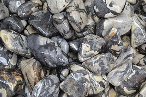 Fantasia Silver Leaf Jasper Stones - 5 lbs Tumbled Stones from Africa