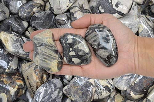 Fantasia Silver Leaf Jasper Stones - 5 lbs Tumbled Stones from Africa