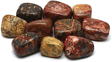 CrystalAge Leopard Skin Jasper Tumble Stone 20-25mm
