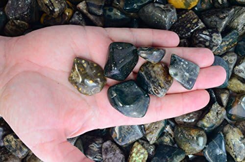 Fantasia Tumbled Sea Jasper Stones 5 lbs Small 075-125 Inch