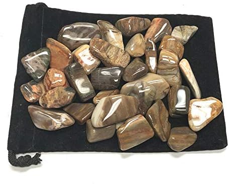 Zentron Crystal Collection Tumbled Petrified Wood Stones in Velvet Bag 1 Pound