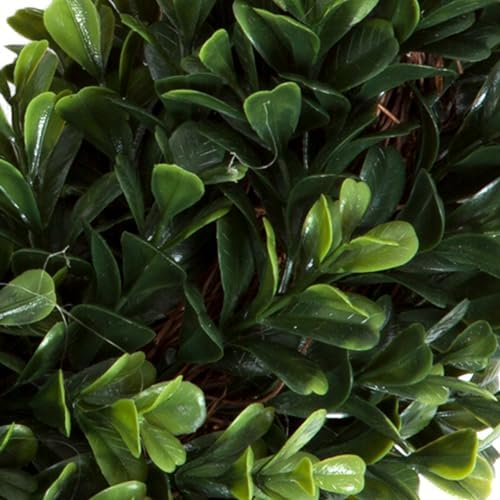 Pure Garden 12-Inch UV Resistant Boxwood Wreath for Front Door