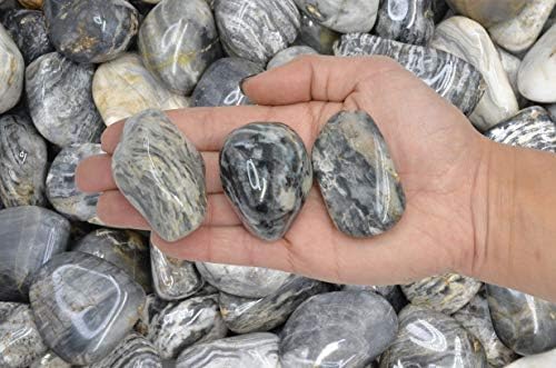 Fantasia 3 lbs Tumbled Black Cream Chert Stones for Fountains
