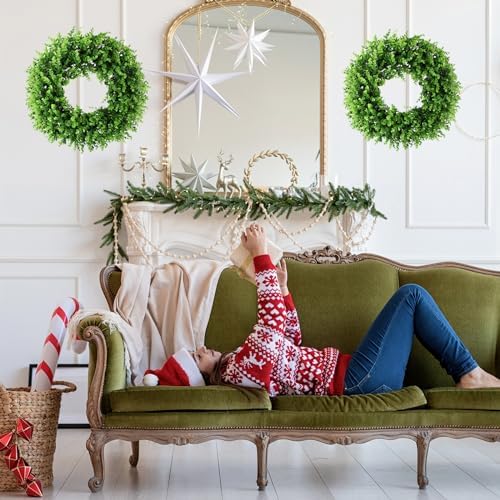 Preserved Boxwood Wreath Artificial 20 Inch