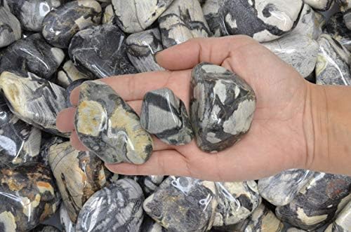 Fantasia Silver Leaf Jasper Stones - 5 lbs Tumbled Stones from Africa