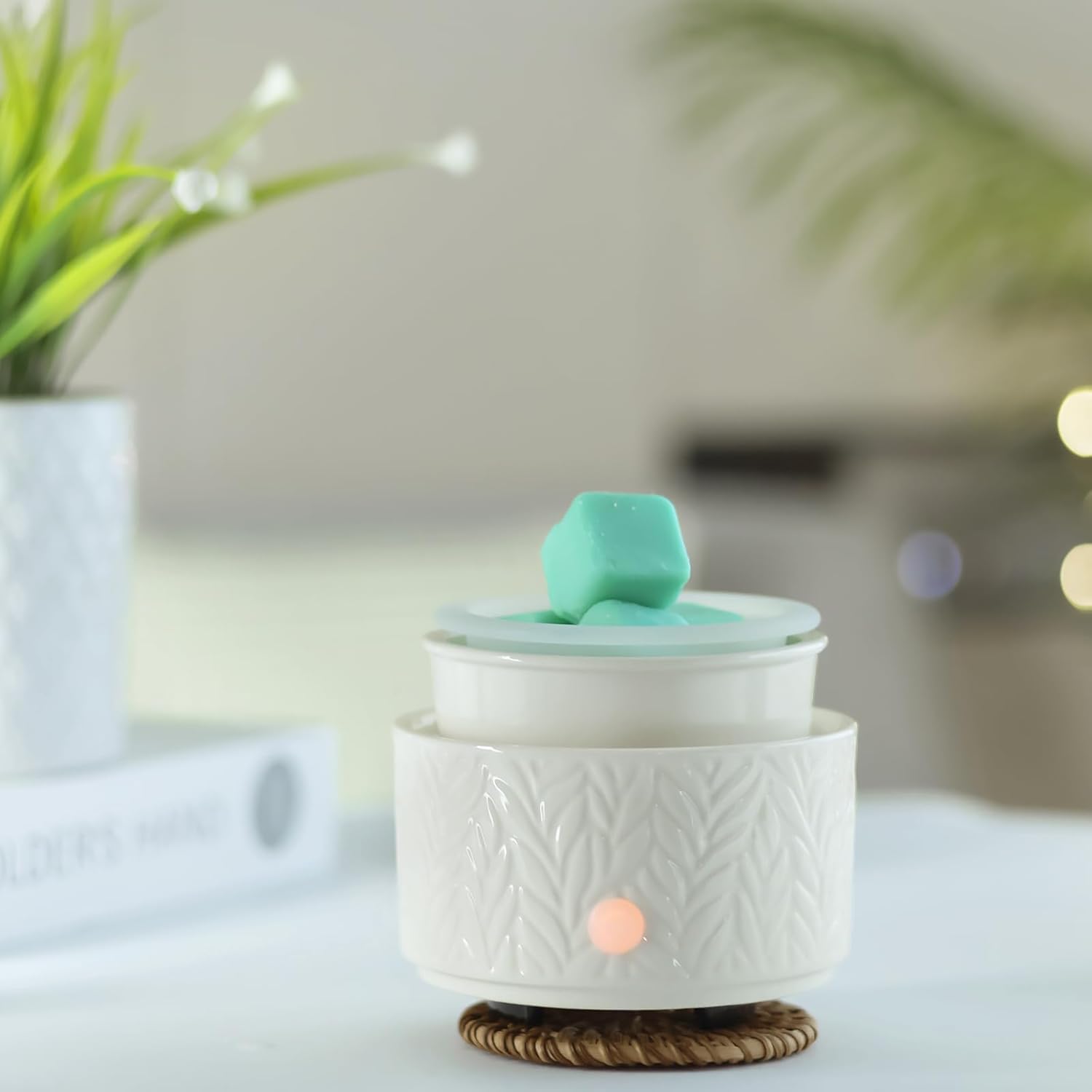 EQUSUPRO Wax Melt Warmer 3-in-1 Electric Burner