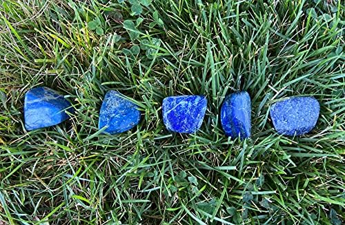 Tumbled Lapis Lazuli Stones 1 Pound