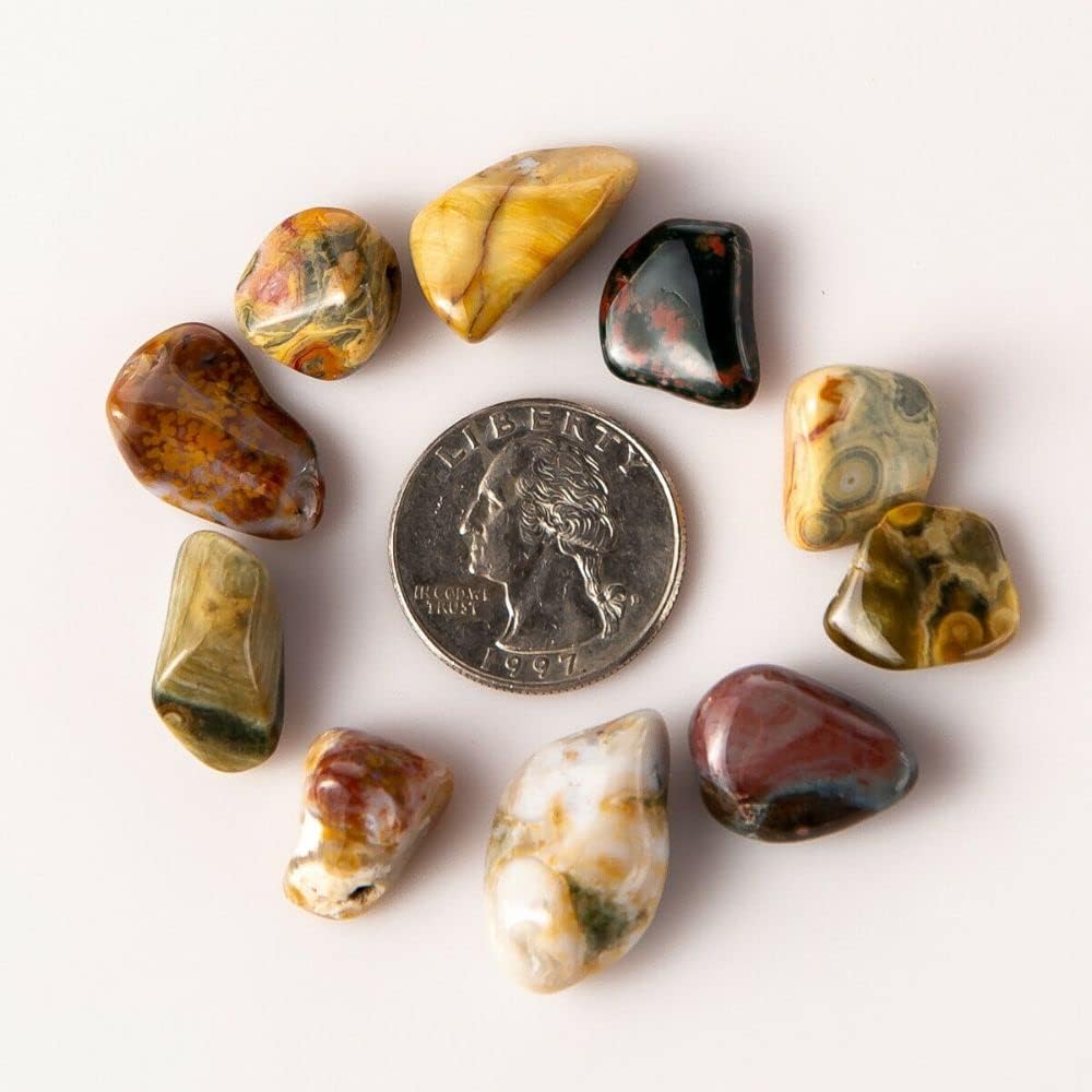 12 lb Tumbled Ocean Jasper Gemstones 80-100 Pieces