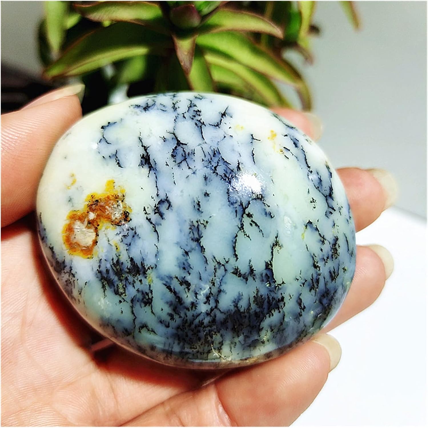 FIDEMM Natural Dendritic Opal Stones for Feng Shui and Healing