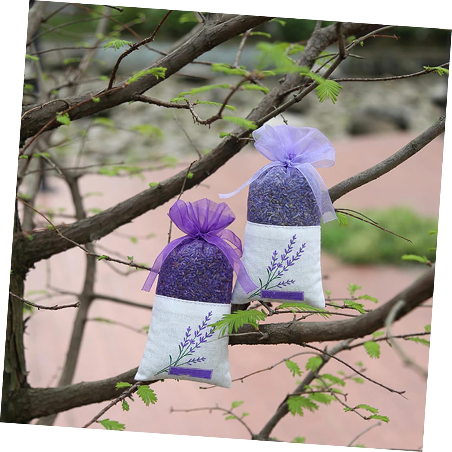 25 Pack Lavender Sachet Bags with Ribbons - Dark Purple Organza