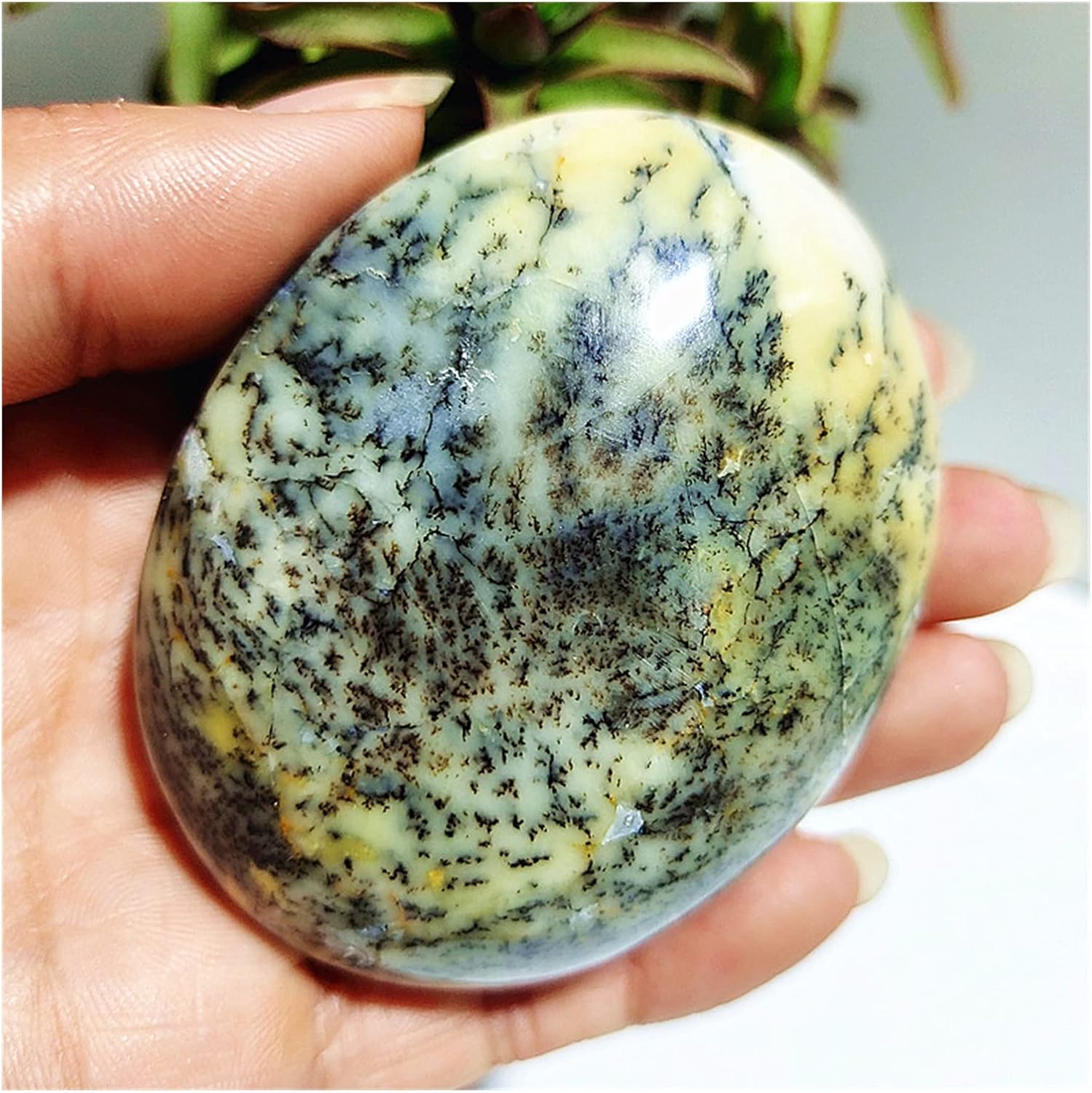 FIDEMM Natural Dendritic Opal Stones for Feng Shui and Healing