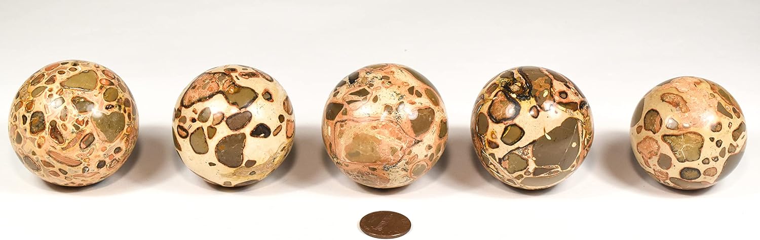 HQRP 47mm Leopardite Jasper Sphere with Stand