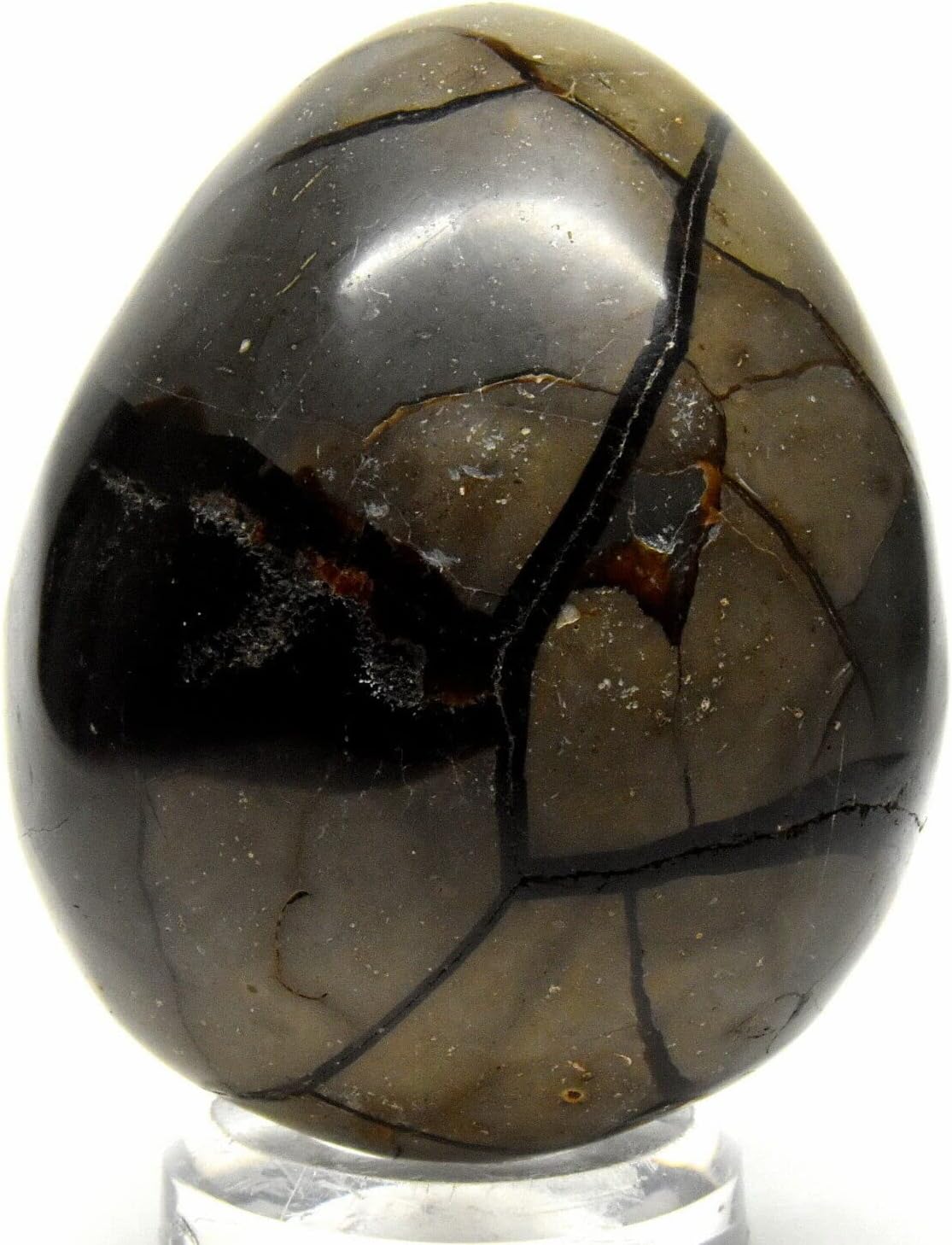 96mm Septarian Dragon Stone Egg with Stand